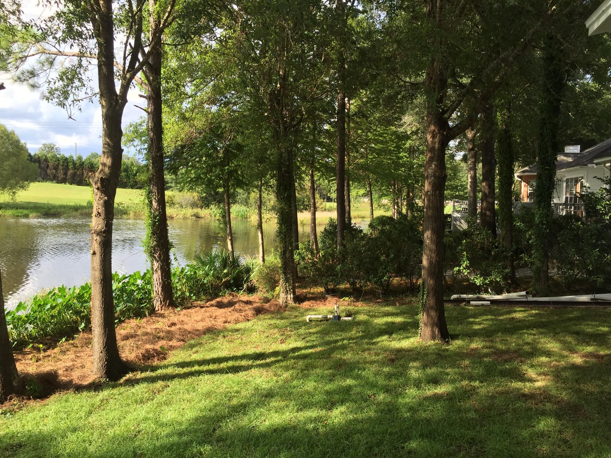 SHOAL LANDING EAST - Residential