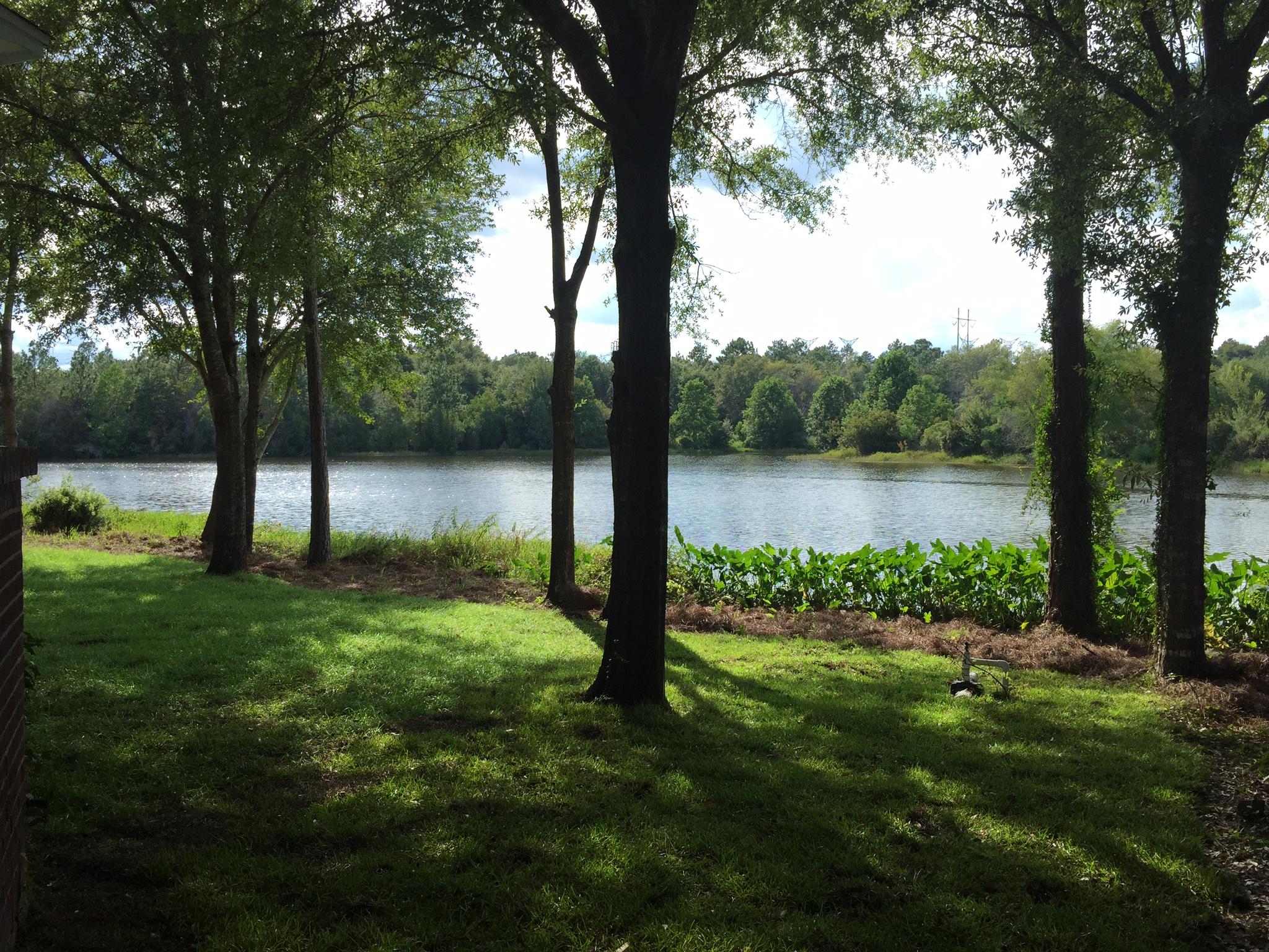 SHOAL LANDING EAST - Residential