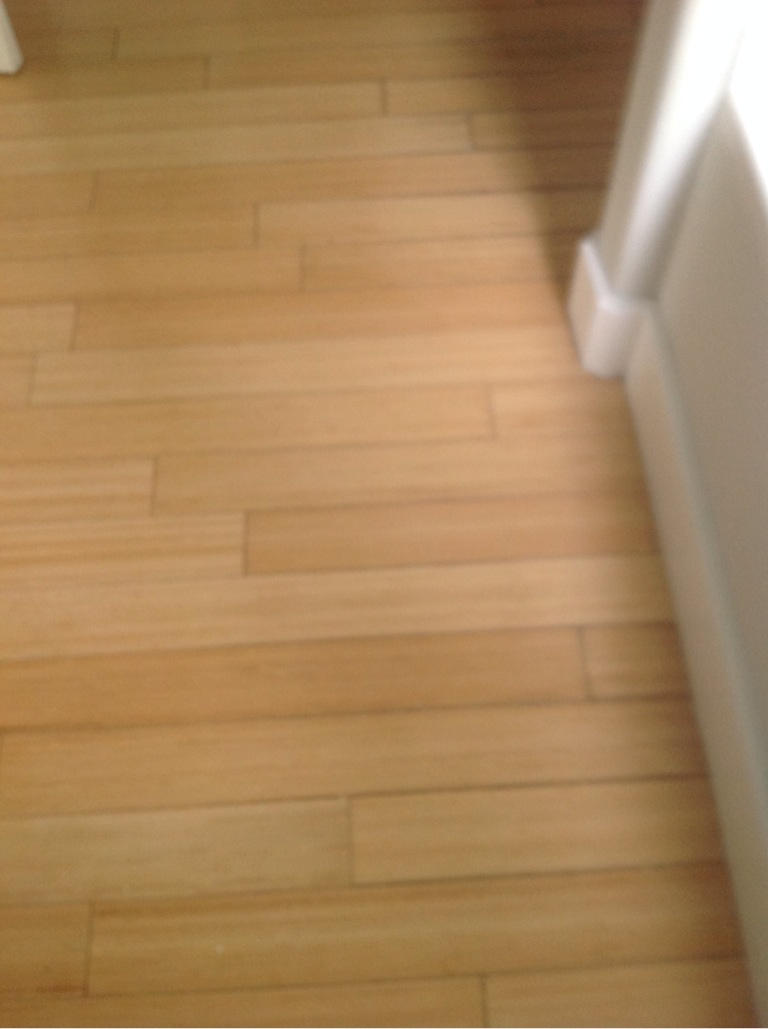 OLD TOWN OF SANTA ROSA BEACH - Residential Lease