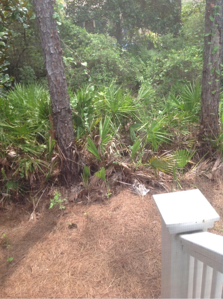 OLD TOWN OF SANTA ROSA BEACH - Residential Lease