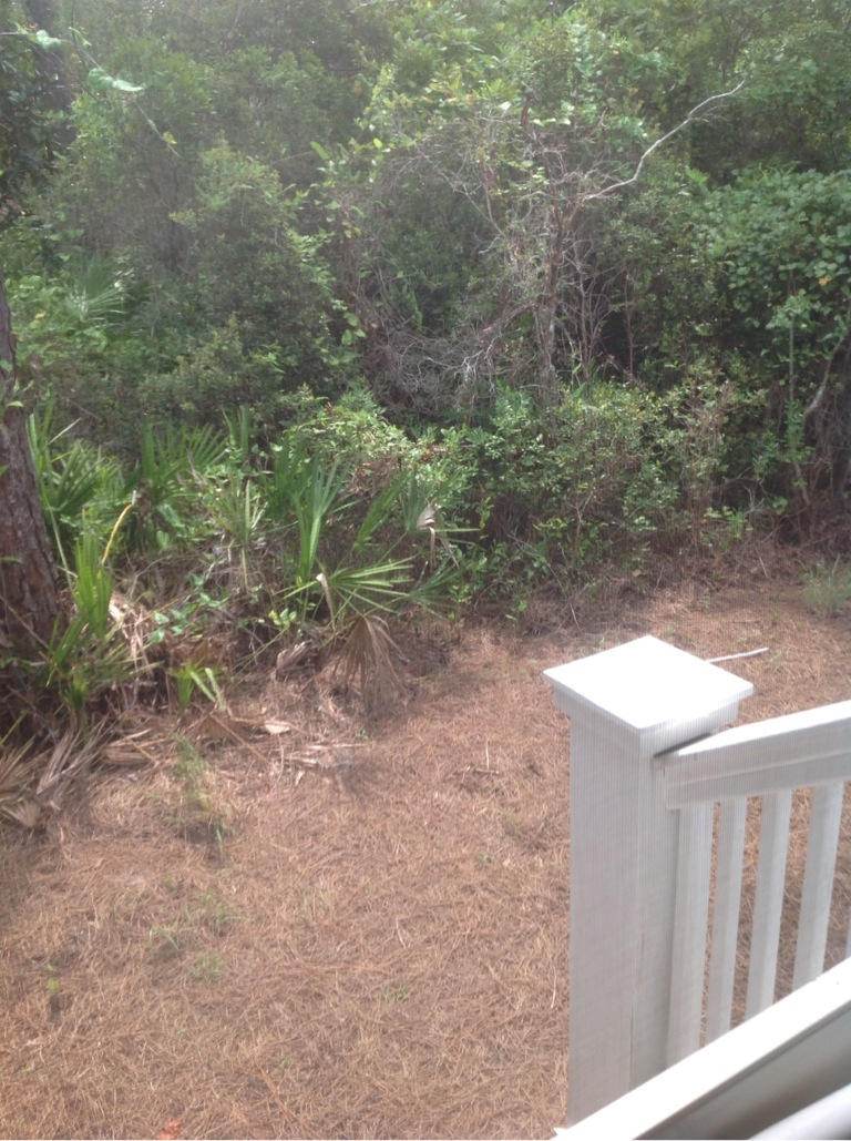 OLD TOWN OF SANTA ROSA BEACH - Residential Lease