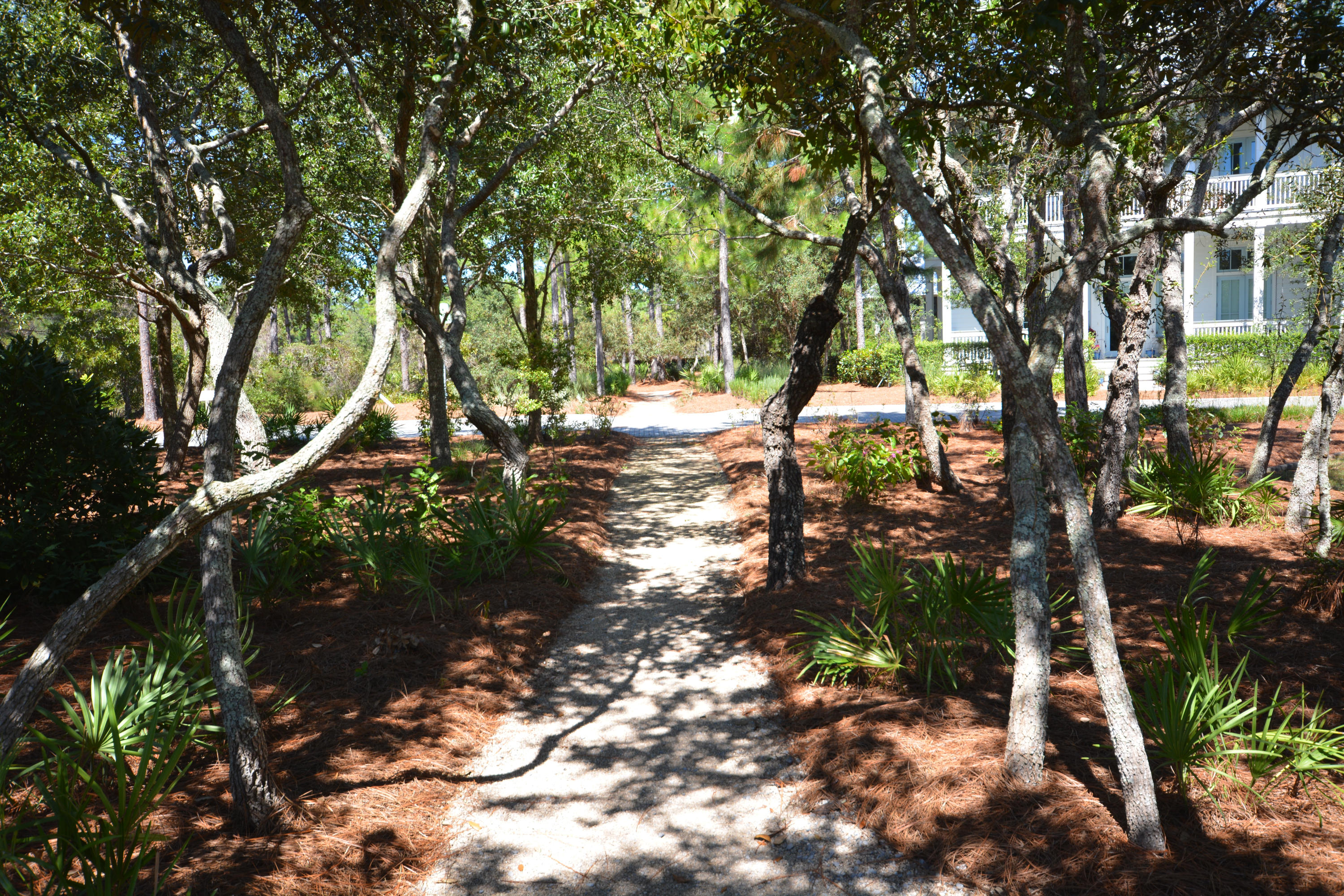 WATERCOLOR - Residential