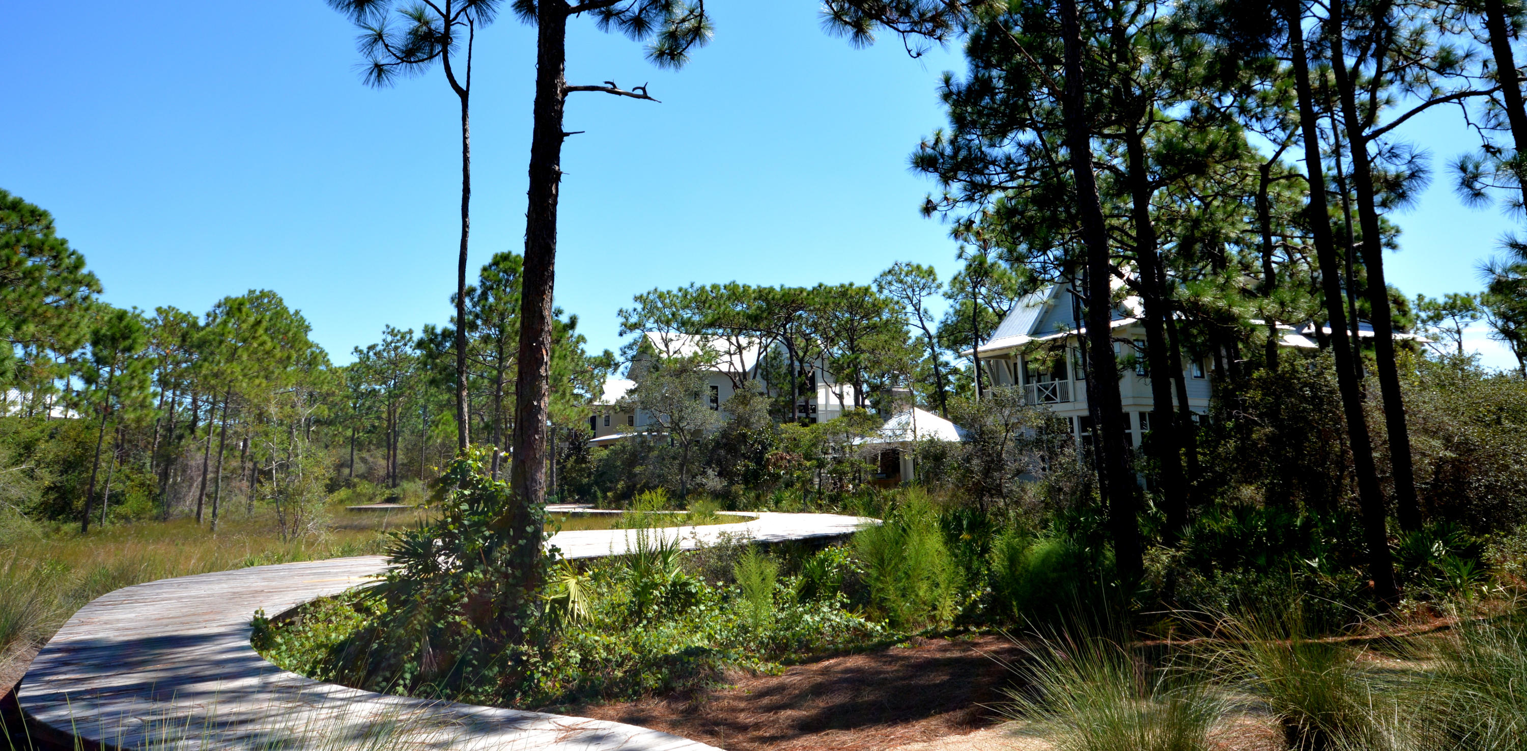 WATERCOLOR - Residential