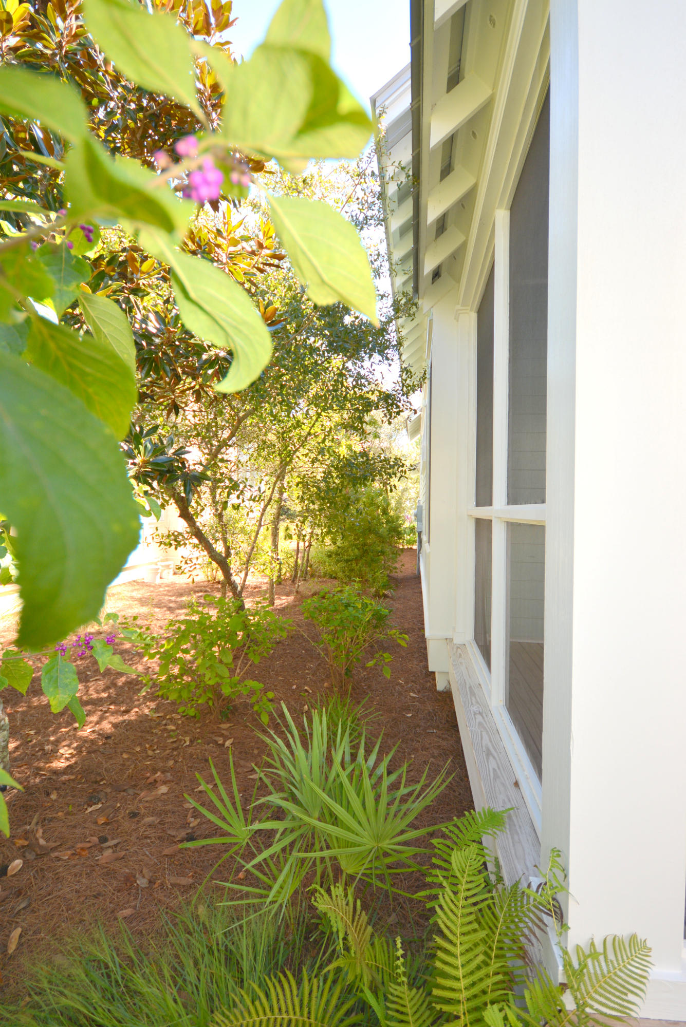 WATERCOLOR - Residential