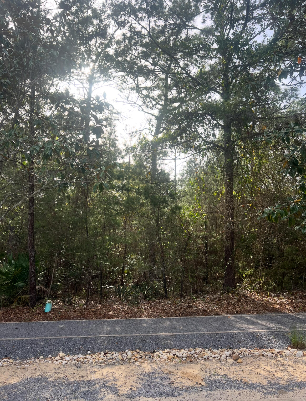 308 Cullman Avenue