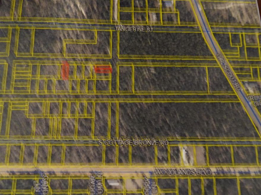 2 lots located off of Girl Scout Road. Road has not been cleared so no access is available to the lots(landlocked). Being sold as-is, where-is. Cash sale only.