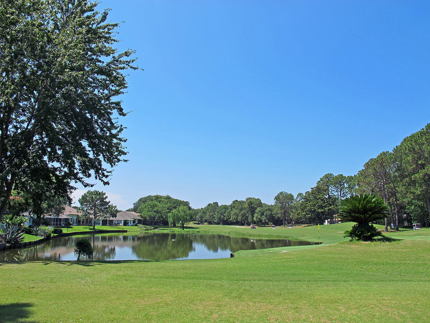 PALMETTO DUNES - Residential