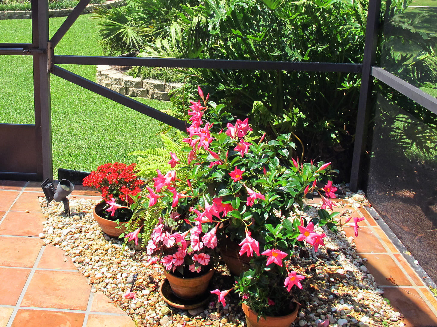 PALMETTO DUNES - Residential