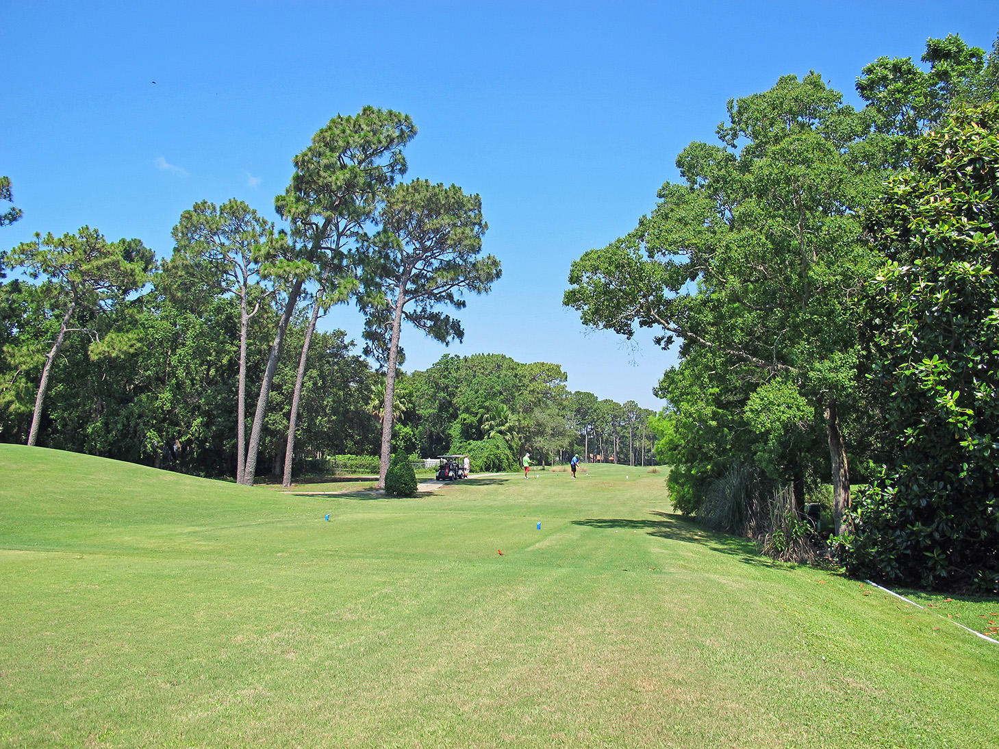 PALMETTO DUNES - Residential