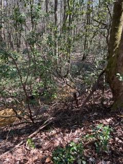 Laurelwood Estates, CRESTVIEW SUBURB - Land