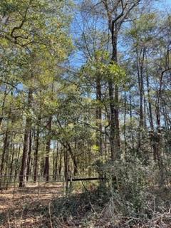 Laurelwood Estates, CRESTVIEW SUBURB - Land