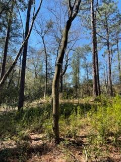 Laurelwood Estates, CRESTVIEW SUBURB - Land