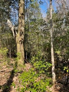 Laurelwood Estates, CRESTVIEW SUBURB - Land