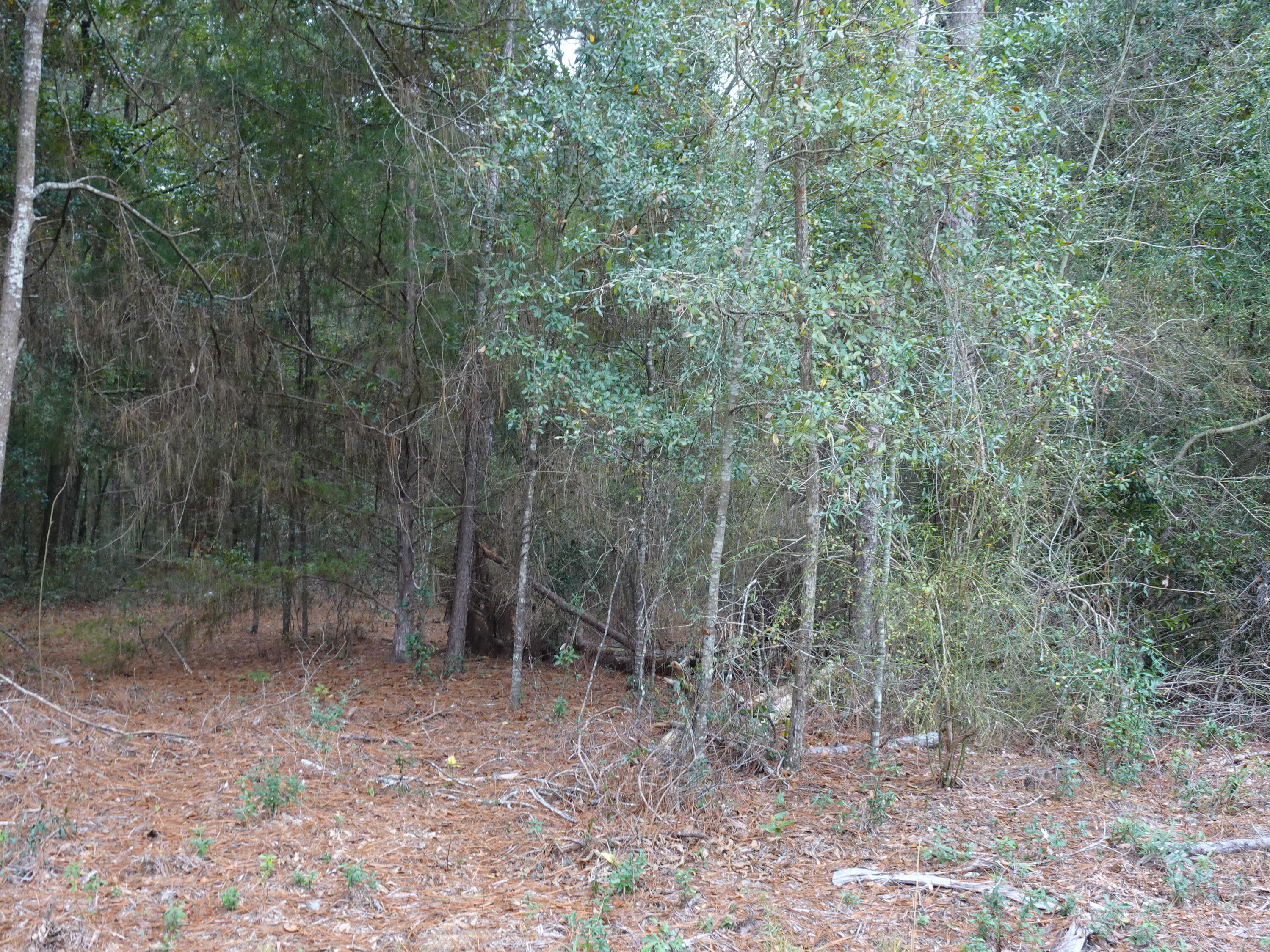 METES & BOUNDS - Land