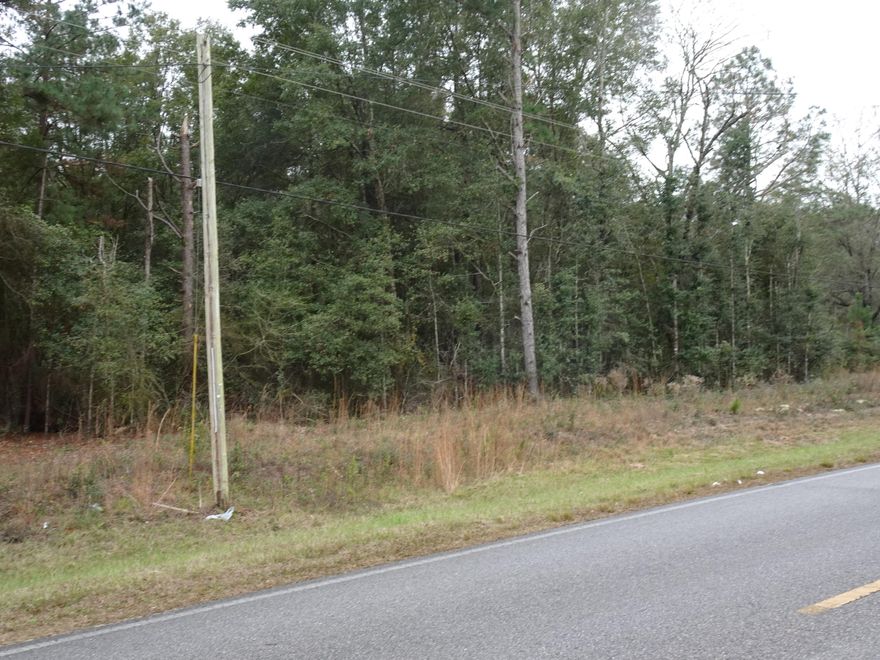 Wooded lot on a paved road in the Paxton School District. City water is available but no tap fee have been paid. Septic tank will need to be installed. Lot is located less than a mile from the Paxton School, City Ball Park, a Dollar General and best of all - Just a short distance to Beautiful Lake Jackson, a City Park in Florala that offers swimming, skiing, fishing and recreational boating. Several public boat launches. A rare opportunity to find a vacant lot. Manufactured homes are allowed.