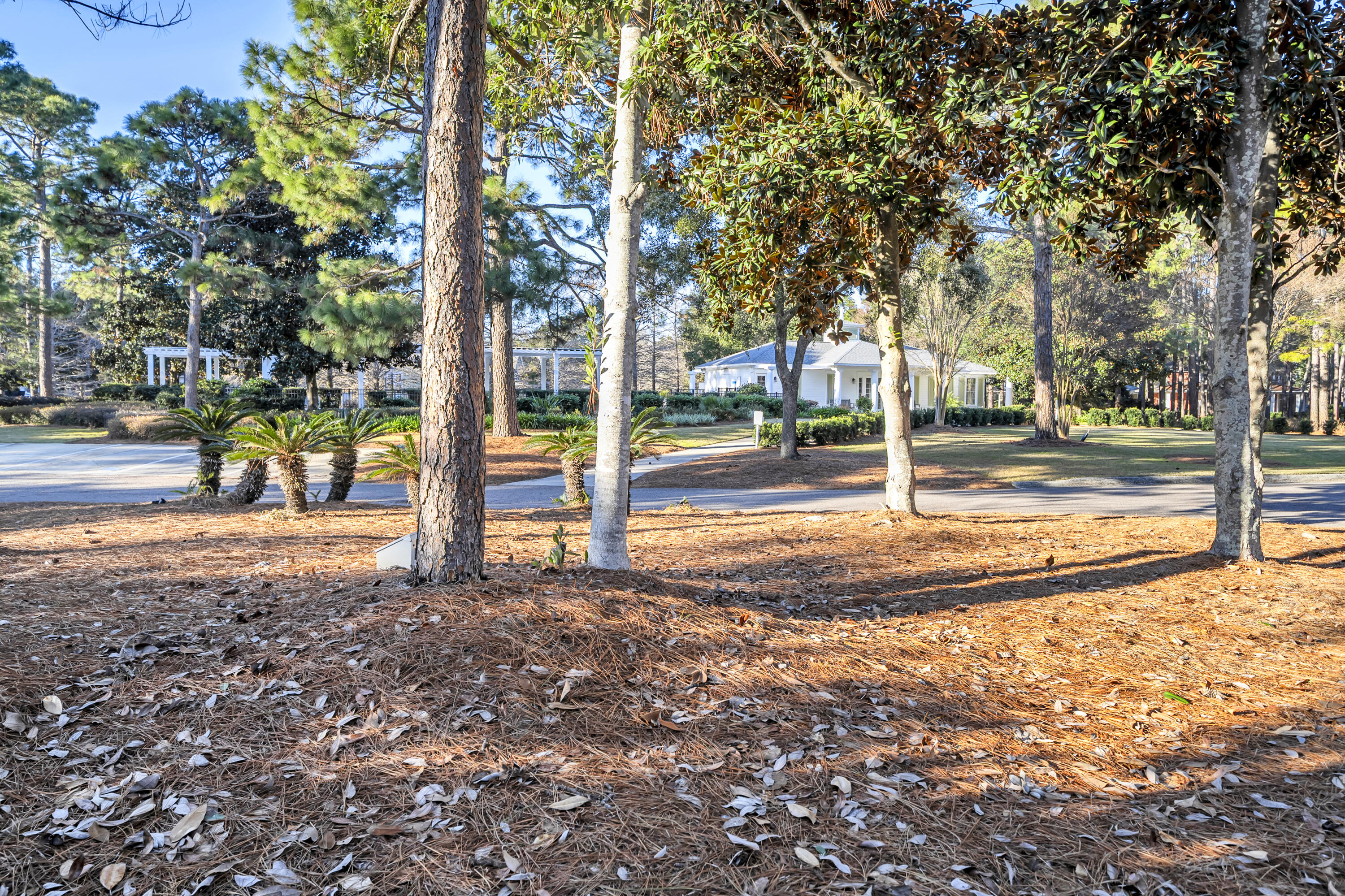 LAUREL GROVE - Residential