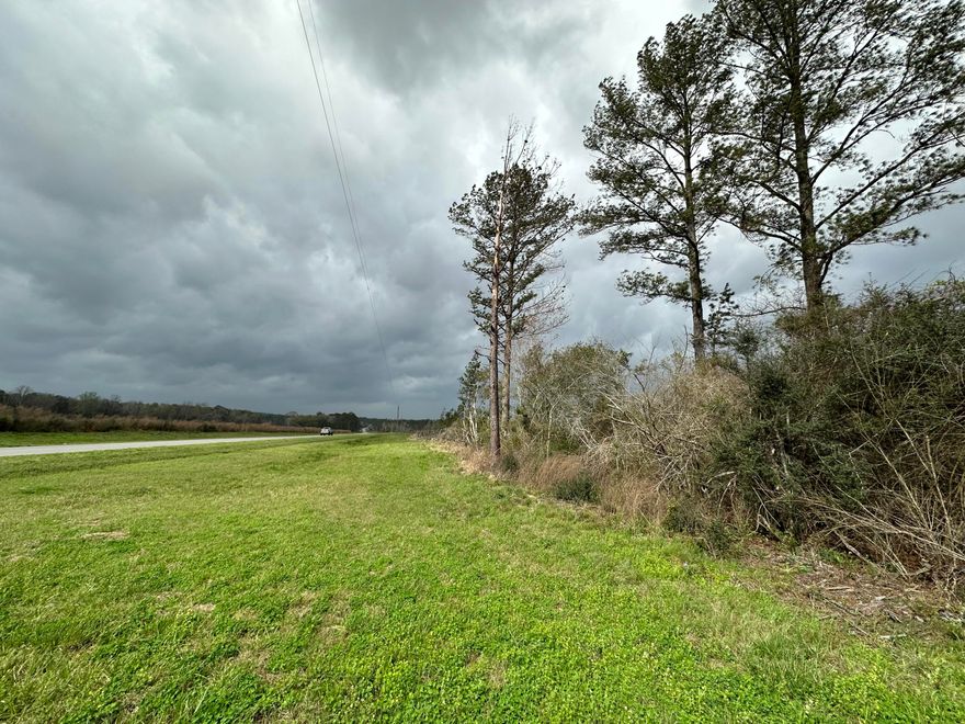 Dream Location for Country Living or Hunters Paradise, either way you won't want to miss this opportunity! This Beautiful 10.1+/- AC property has so much to offer.  High and Dry, paved road with access to power. Turkey season coming soon! This beautiful location could be your forever home. Bring your build plans, hunting gear, Horses and ATVS. Convenient location to the Florida /Alabama Stateline with easy access to County Hwy 181 W and Hwy 83.
