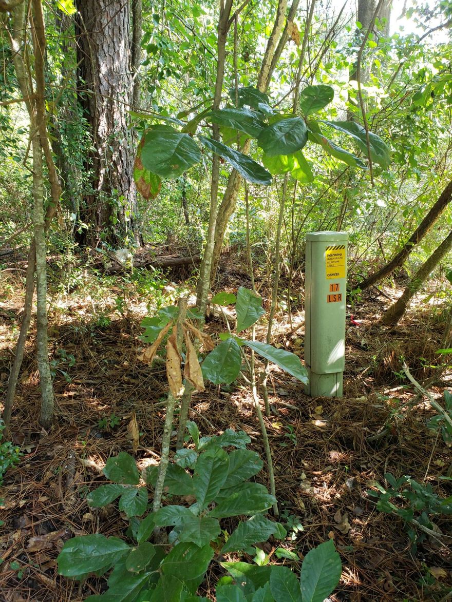 Beautiful property located in North Crestview along Lake Silver Road, just minutes from new businesses and shopping centers. This property will make a perfect site to build your dream home! Flat and lightly wooded land that sits high and dry along a quiet, 2-lane paved road.