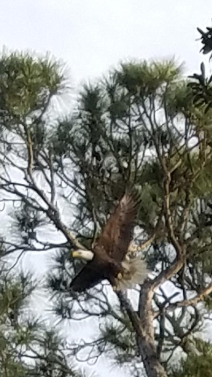 VALPARAISO PLAT 06 - Residential
