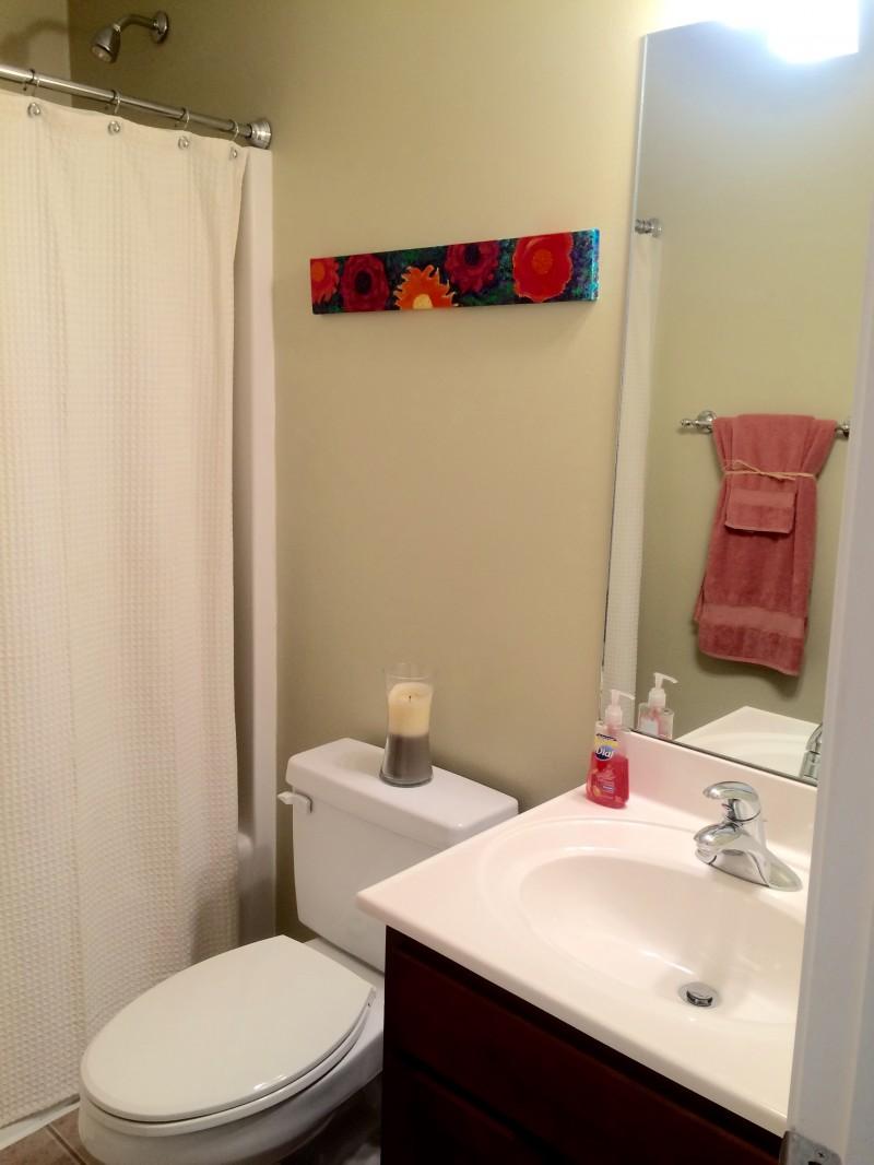 OLDE FLORIDA LAKES - Residential