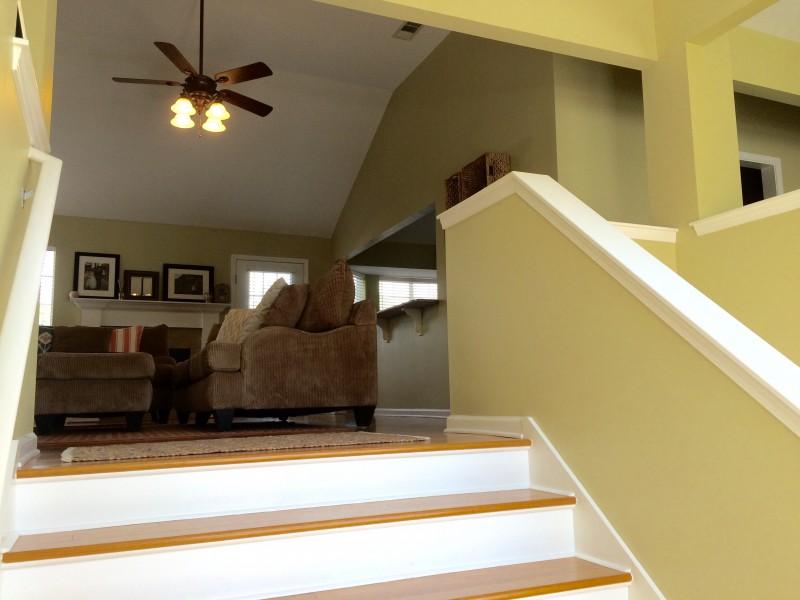 OLDE FLORIDA LAKES - Residential