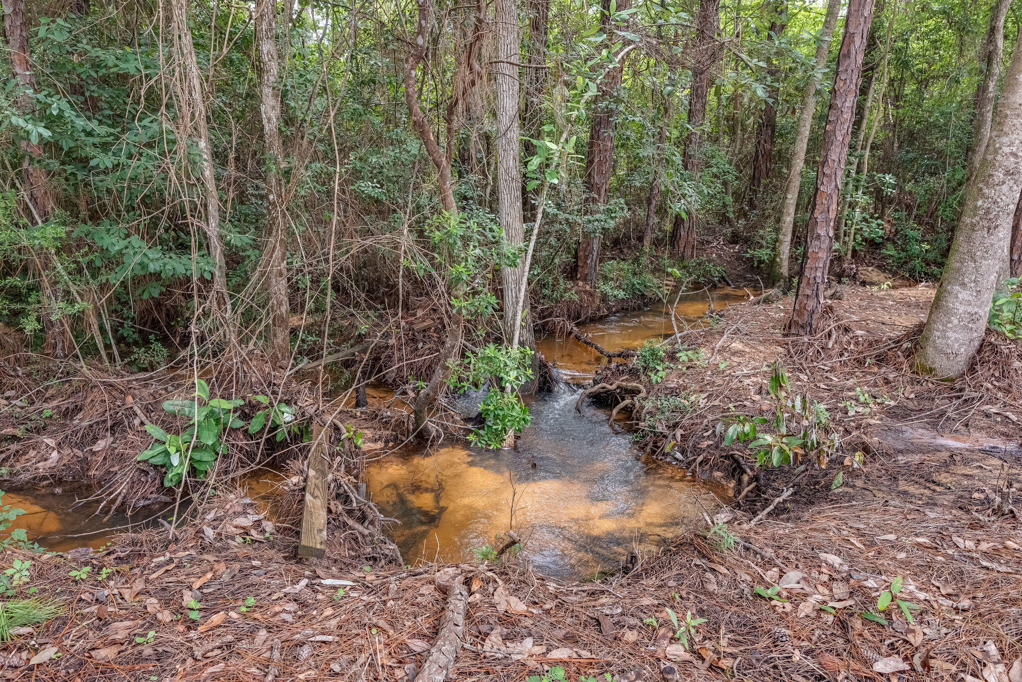 SILVER OAKS PH 1 - Residential