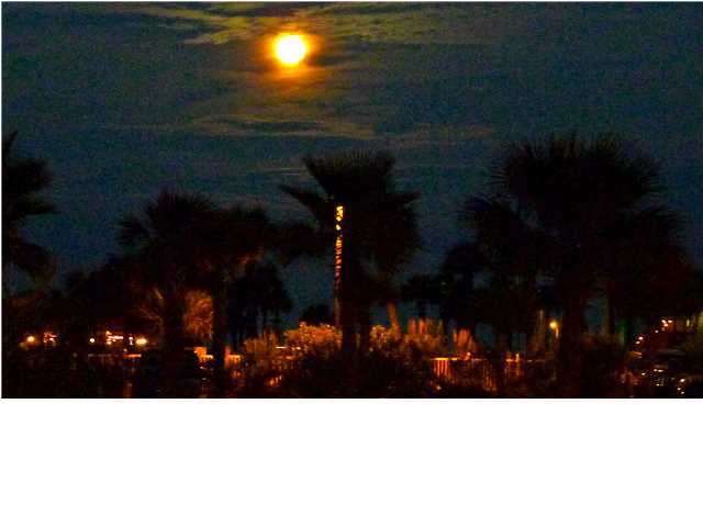 NAVARRE BEACH REGENCY CONDO - Residential