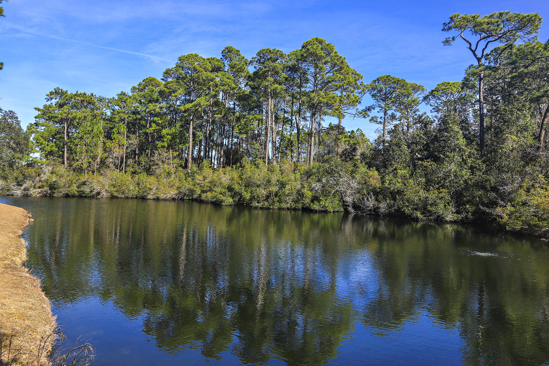 DEERWOOD - Residential