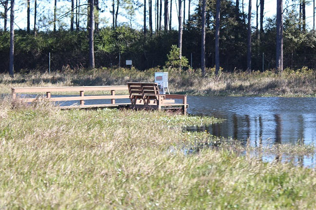 MAGNOLIA RANCH - Farm