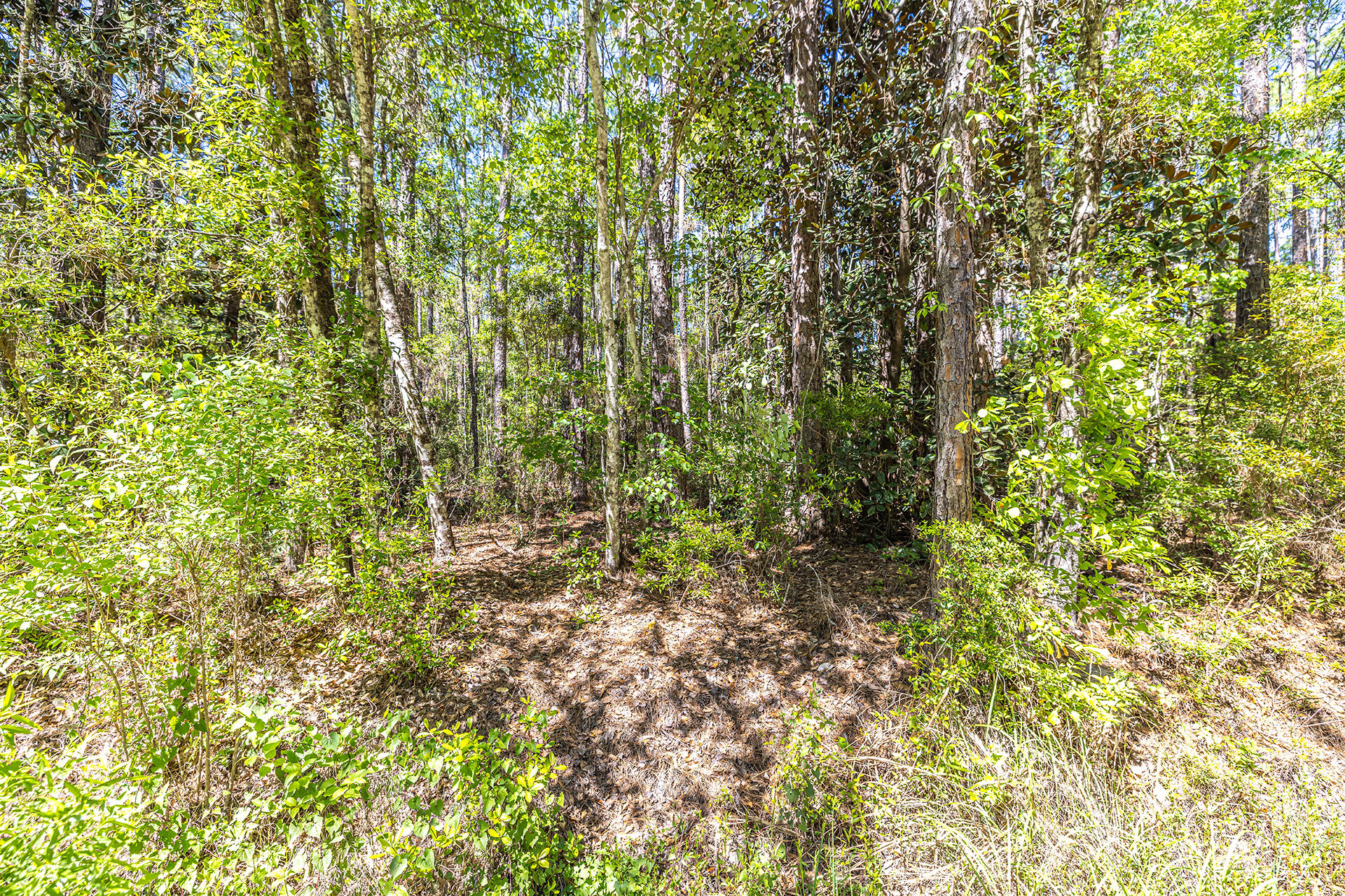 NO RECORDED SUBDIVISION - Land