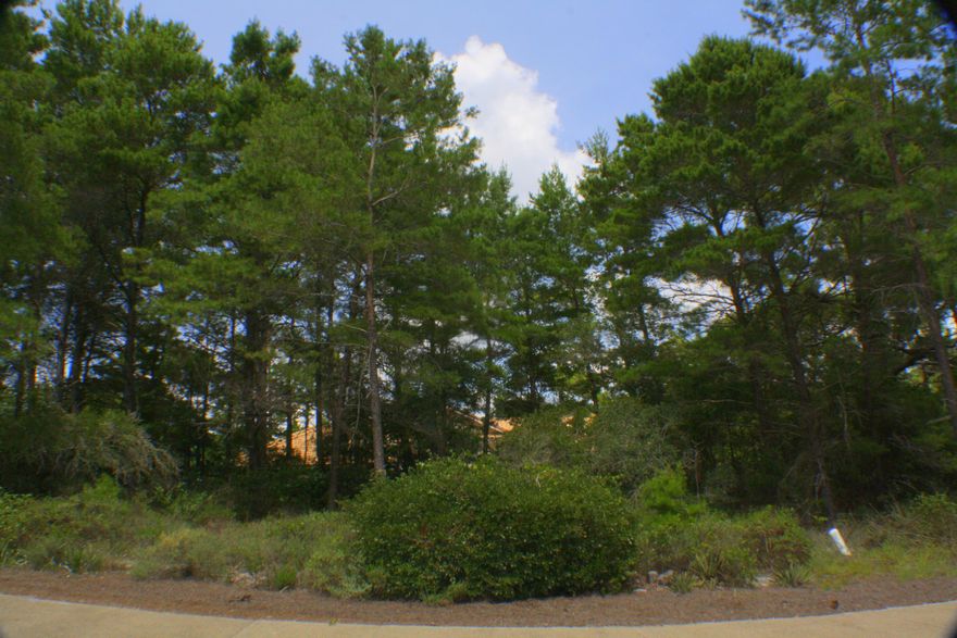 PRICE REDUCTION.. SELLER WANTS AN OFFER!!!Draper Lake lot located in the eastern entrance of the neighborhood with level elevation and potential views of Draper Lake to the southeast. Draper Lake amenities include community pools in both east and west gated areas, pedestrian foot bridge that adjoins the east and west areas, green grass park areas, 2 boat houses on Draper Lake, fishing dock, walking trail, and a 45 foot viewing tower with views to the Gulf of Mexico.