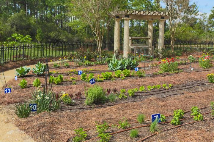 ONE WATER PLACE AT KELLY PLANTATION - Residential