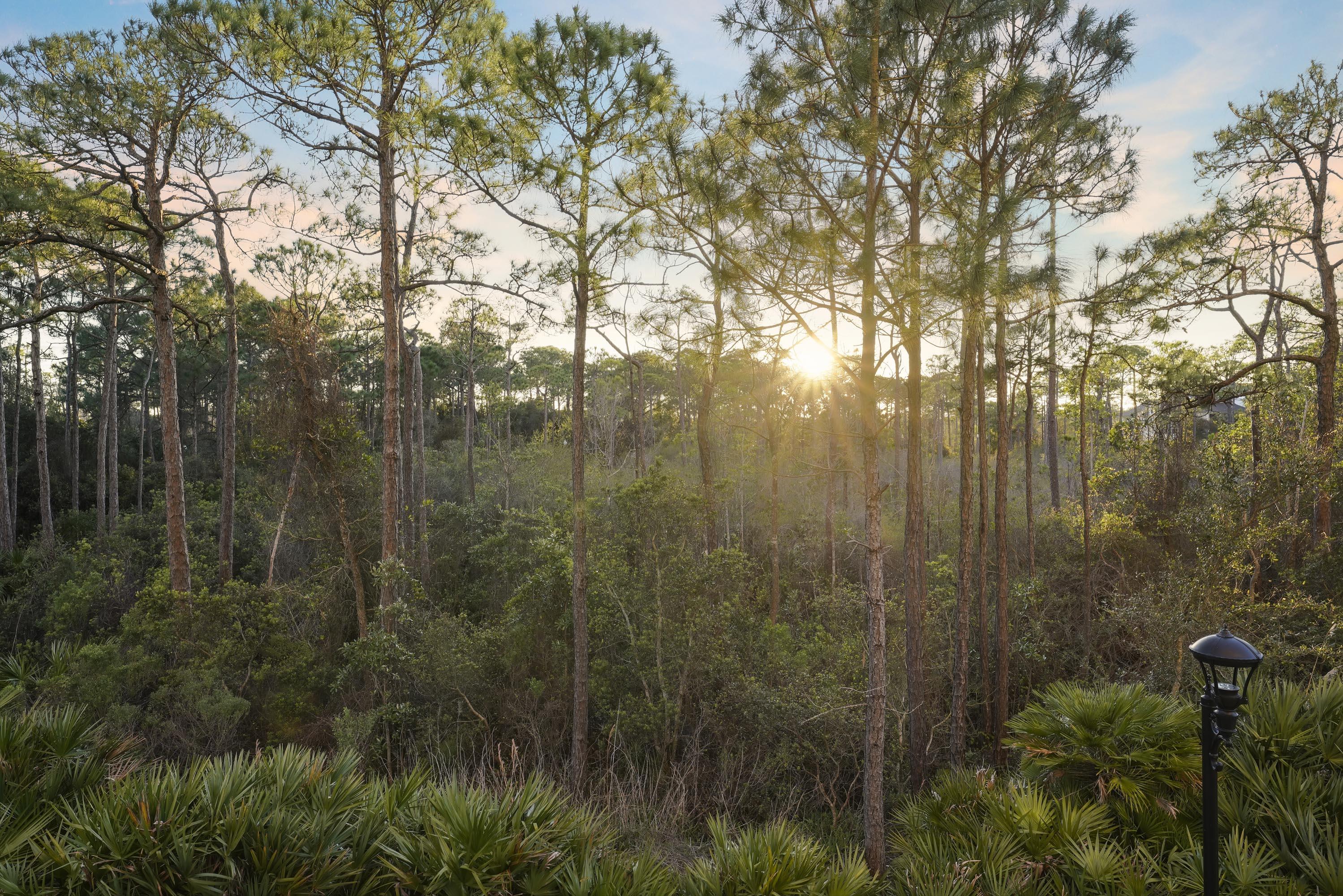 ONE WATER PLACE AT KELLY PLANTATION - Residential