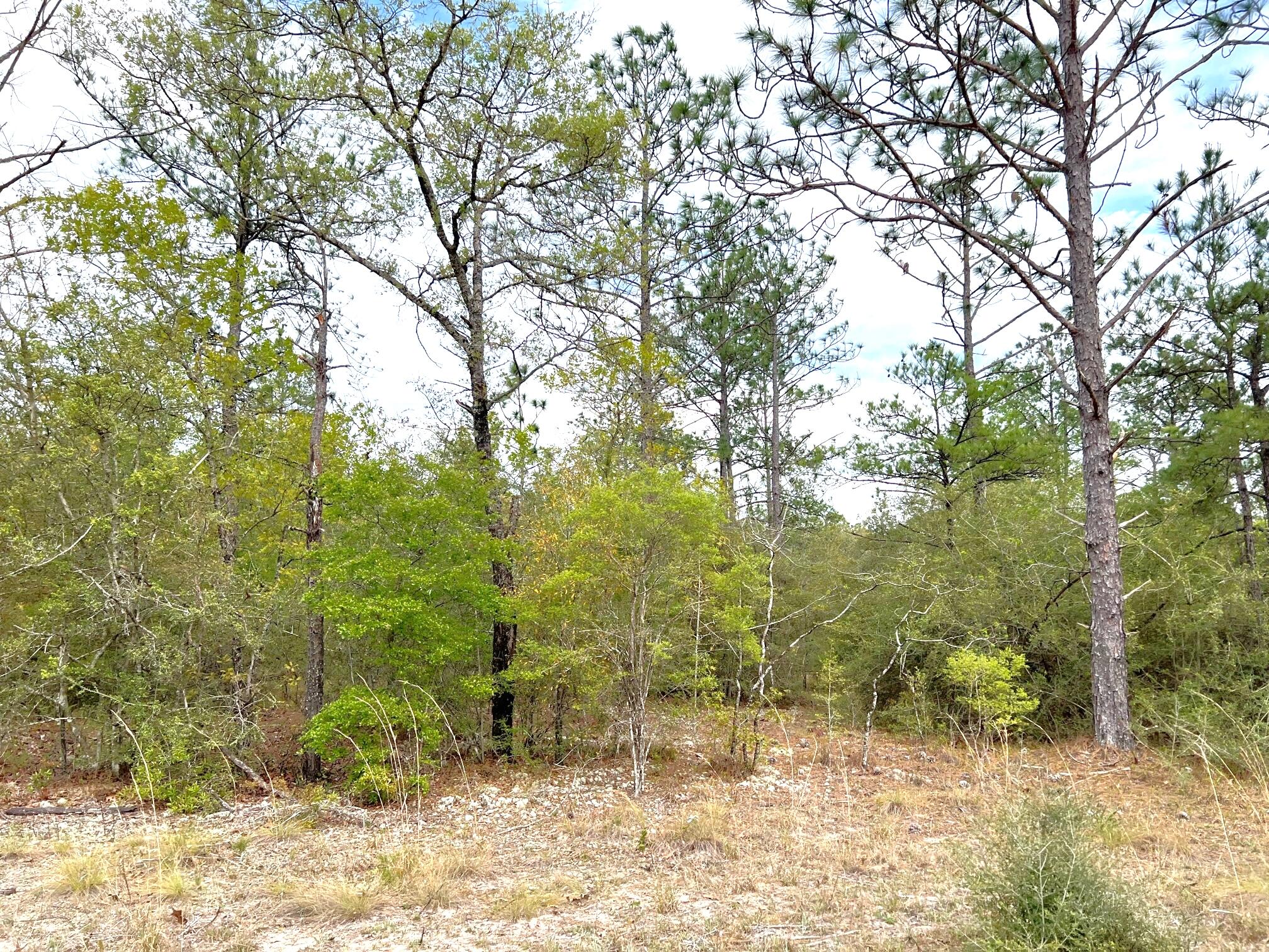 OAKWOOD HILLS UNIT 4 - Land