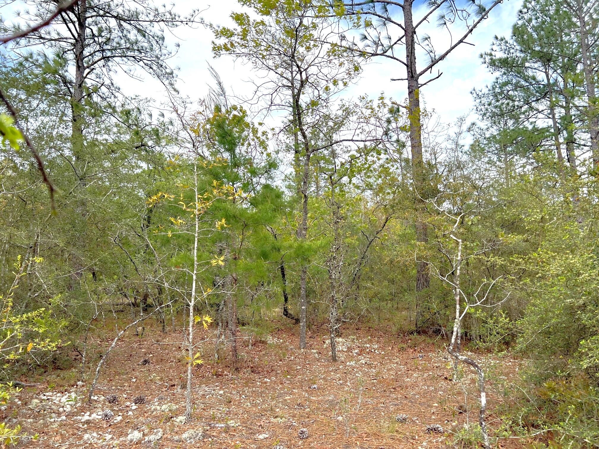 OAKWOOD HILLS UNIT 4 - Land
