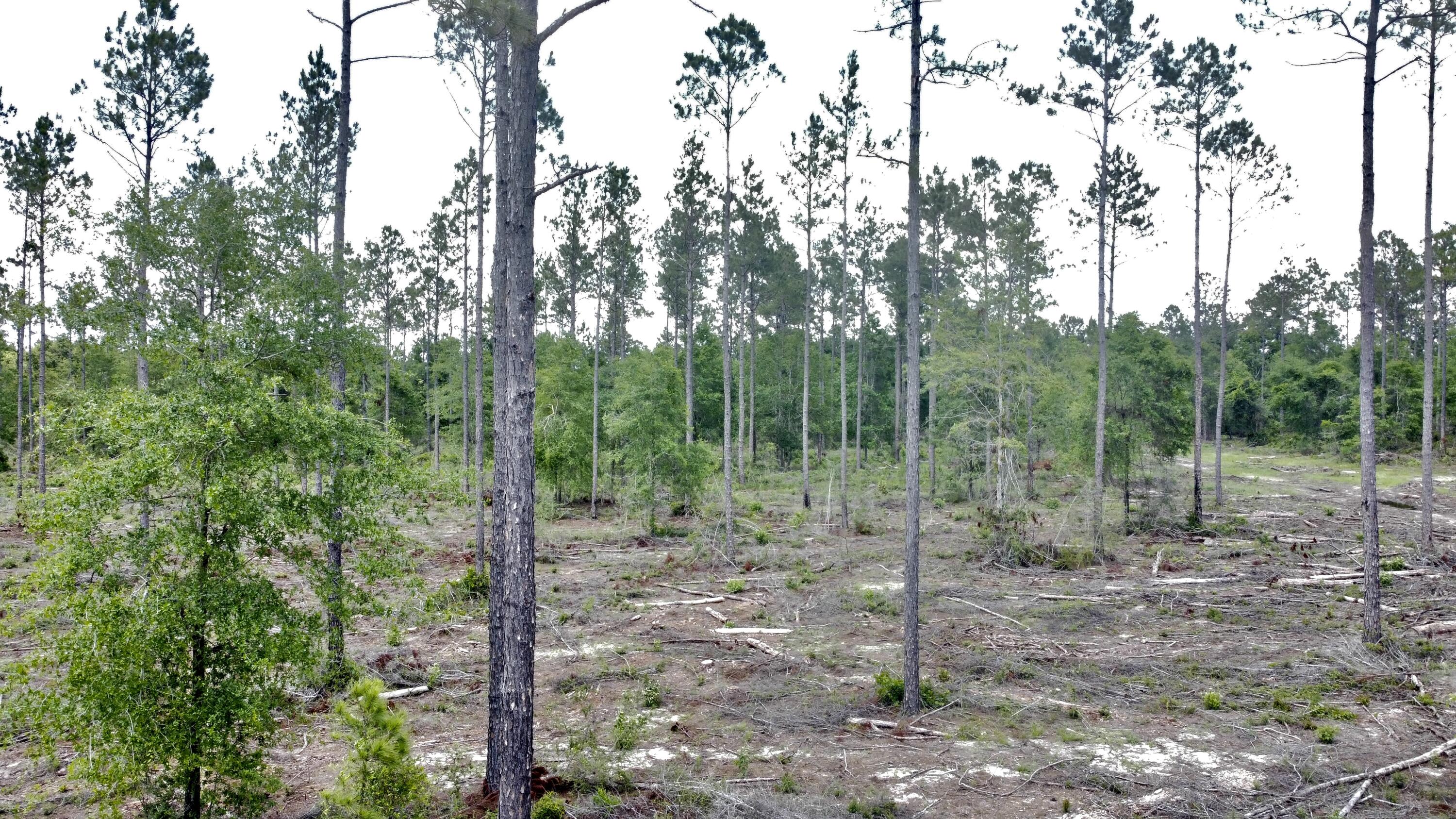 North Supergroup - Land