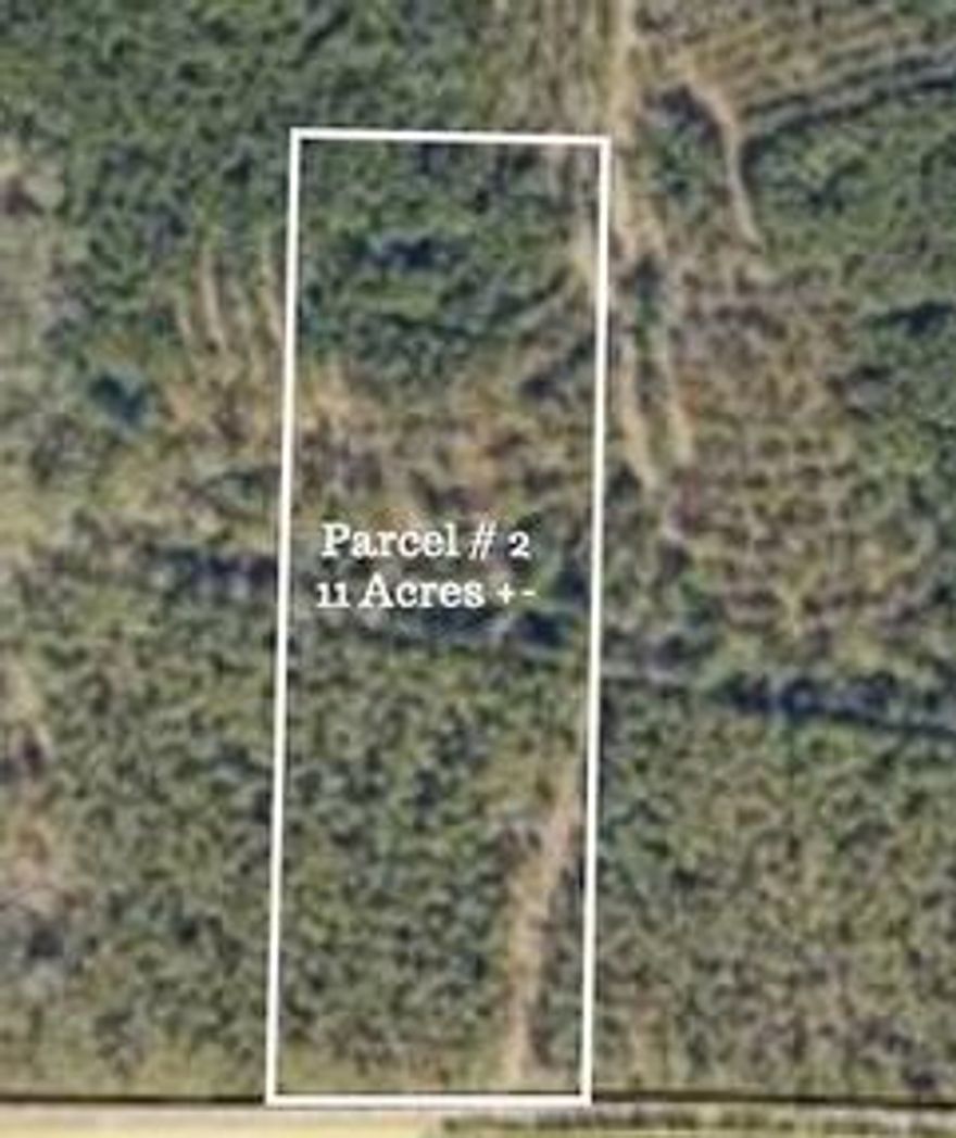If you are looking for a great spot to build your dream home or mini ranch, look no further. This parcel is approximately 11 Acres +- to be split from the original 160 acre parcel. The parcel consist of mature merchantable timber that has recently been thinned so that you can see the beauty that this property affords. Electric and Phone Utilities available at the road. Property will require a well and septic tank. All information is believed to be accurate. However, buyer to verify any information deemed important.