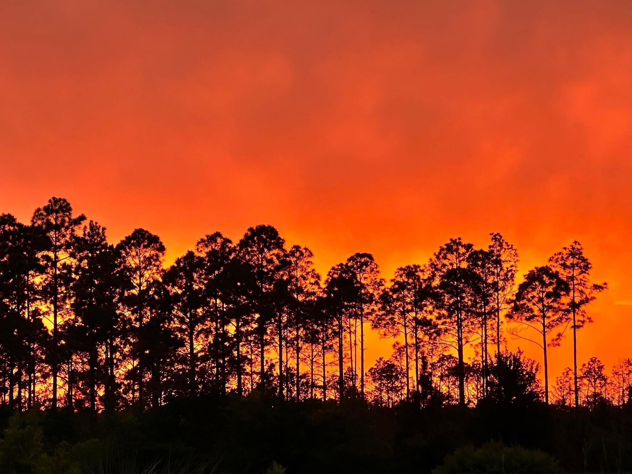 WATERSOUND ORIGINS-NATUREWALK - Residential