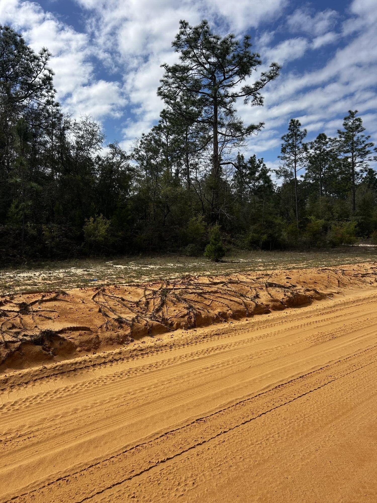 SUNNY HILLS SD - Land