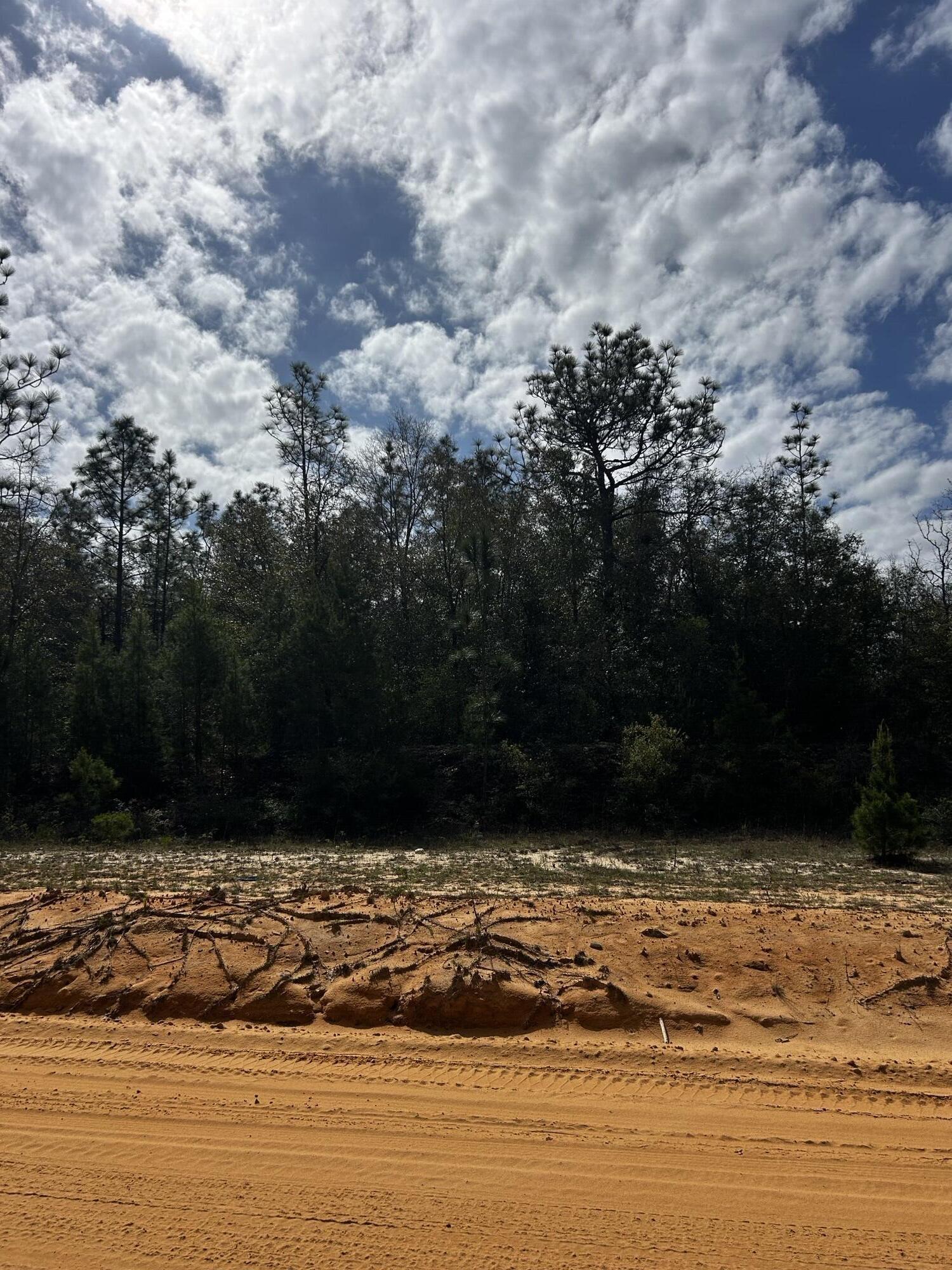 SUNNY HILLS SD - Land