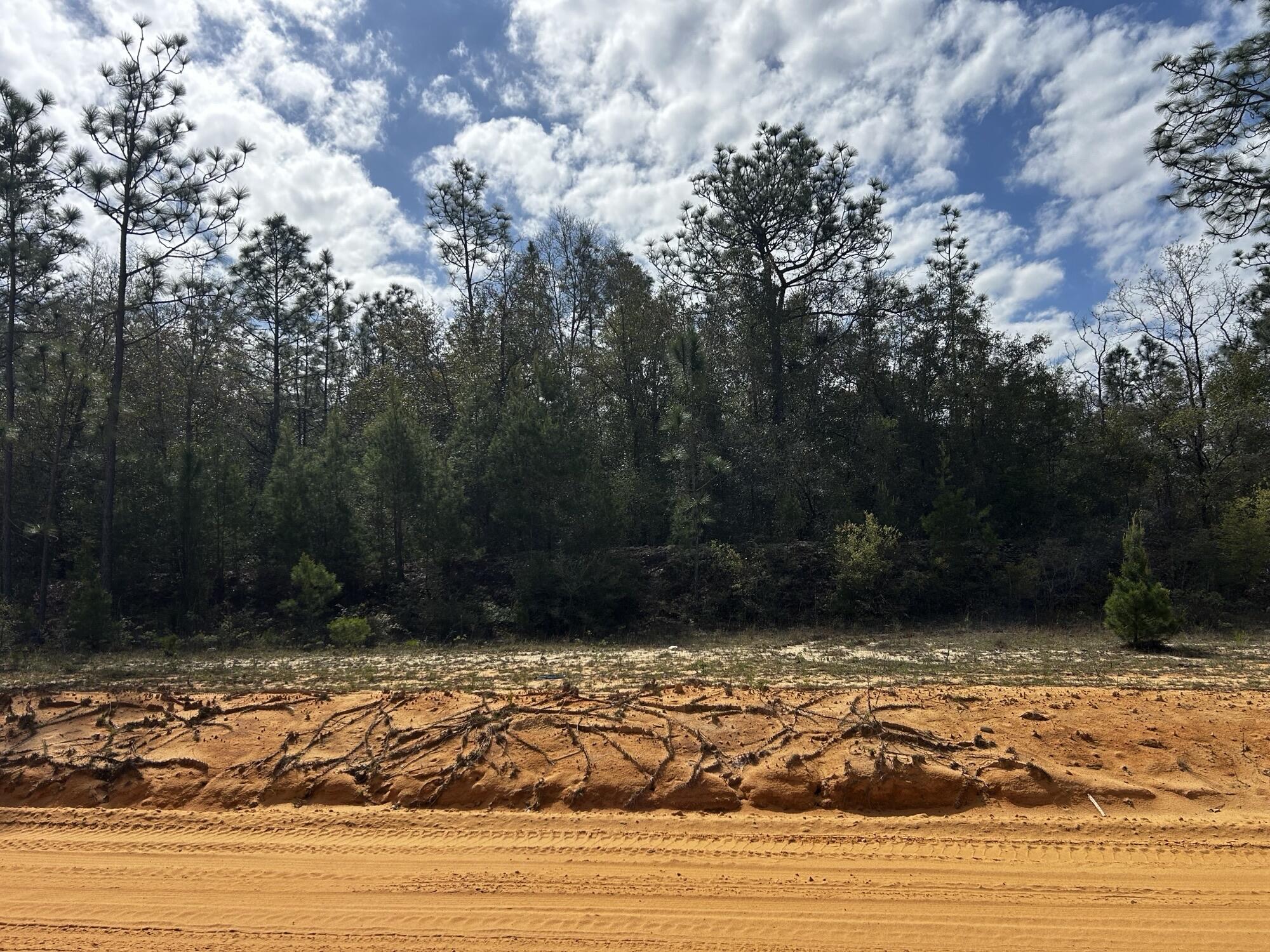 SUNNY HILLS SD - Land