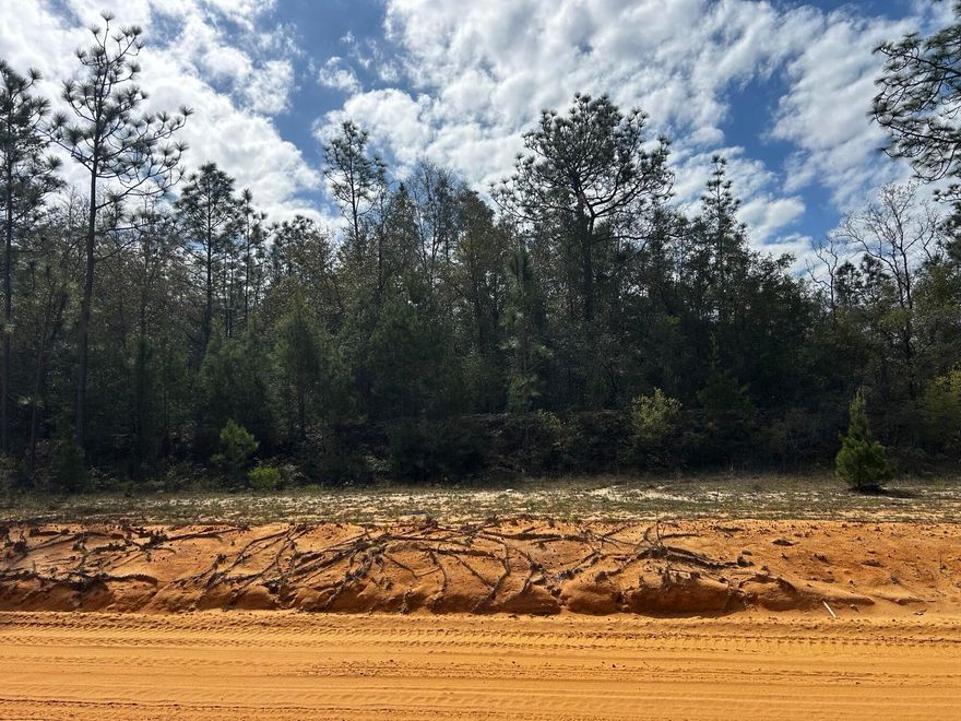 High and Dry Buildable Lot in the Sunny Hills Community, an established subdivision with over 20K lots currently being developed with several national builders. Subdivision offers an 18-hole golf course with clubhouse, numerous lakes with white sandy beaches for recreational activities such as swimming, boating, fishing, and best of all, NO HOA! Sunny Hills is located in Washington County between Panama City Beach and Chipley within the Vernon school district.  Seller has 4 more great buildable lots in Sunny Hills available for purchase, individually or in a package. All properties are vacant and undeveloped.