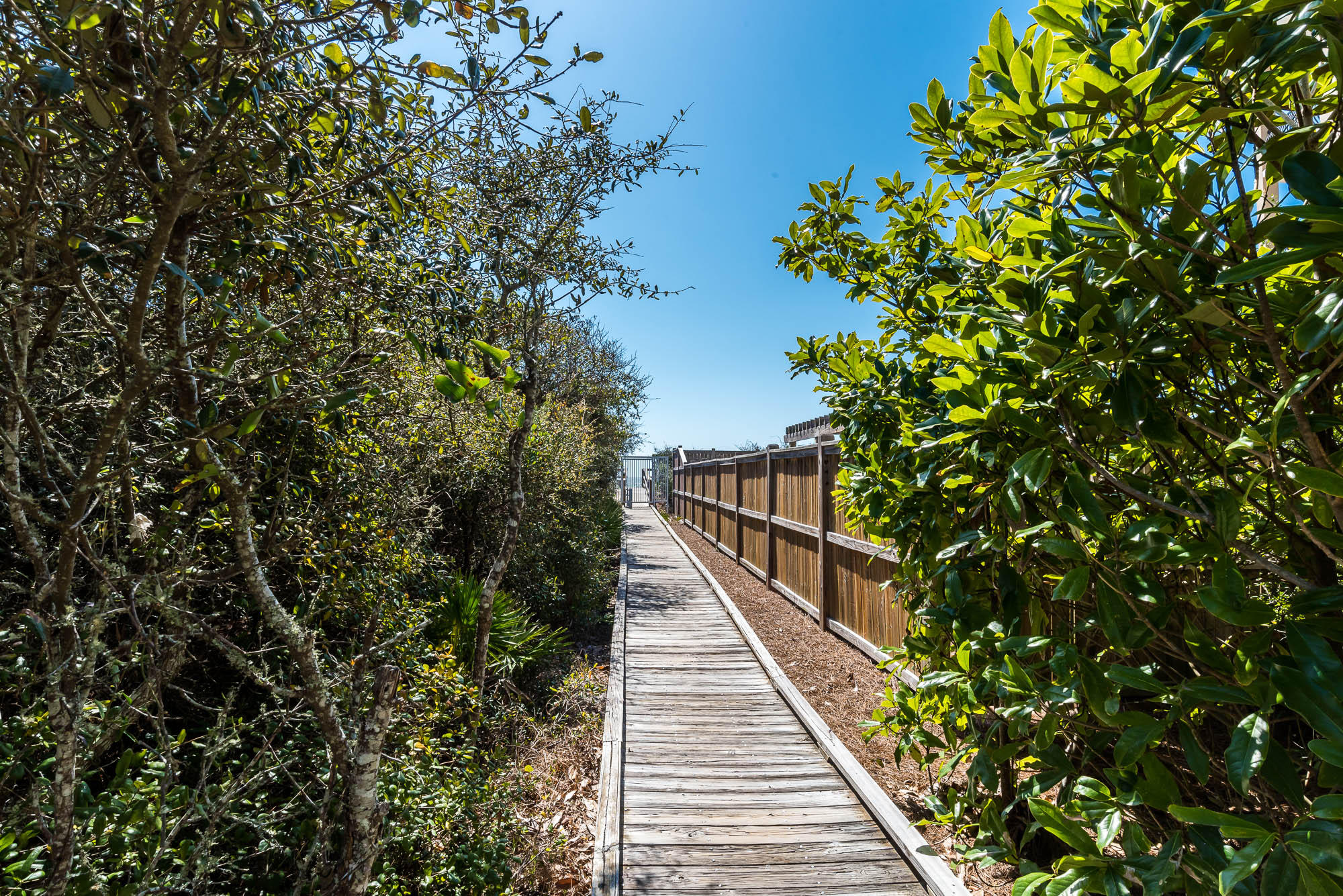 MAGNOLIA COTTAGES BY THE SEA - Residential