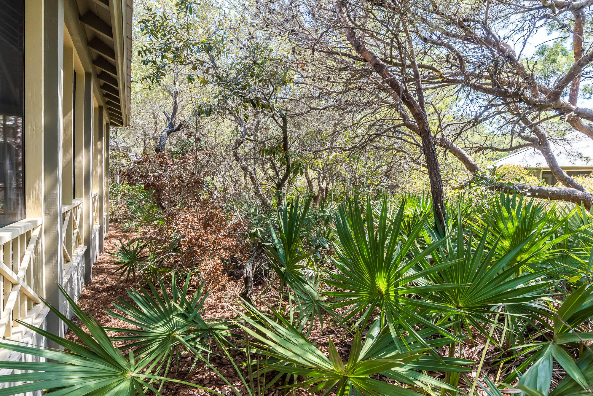 MAGNOLIA COTTAGES BY THE SEA - Residential