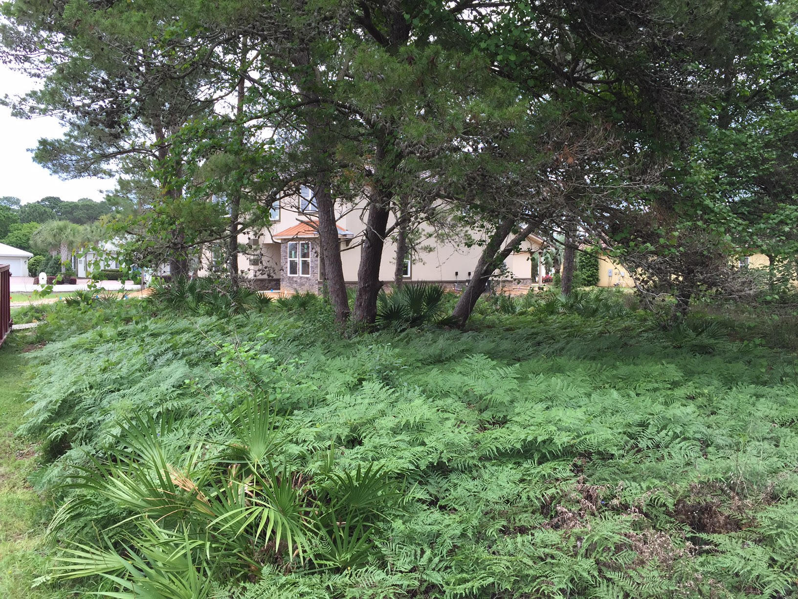 EMERALD BAY PH 1-B - Land