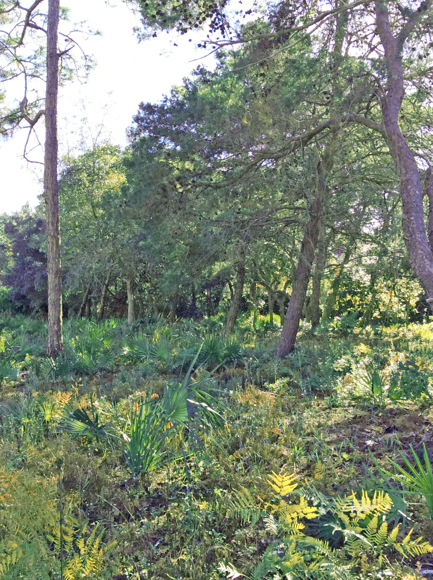 EMERALD BAY PH 1-B - Land