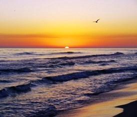 DESTIN RV BEACH RESORT - Land