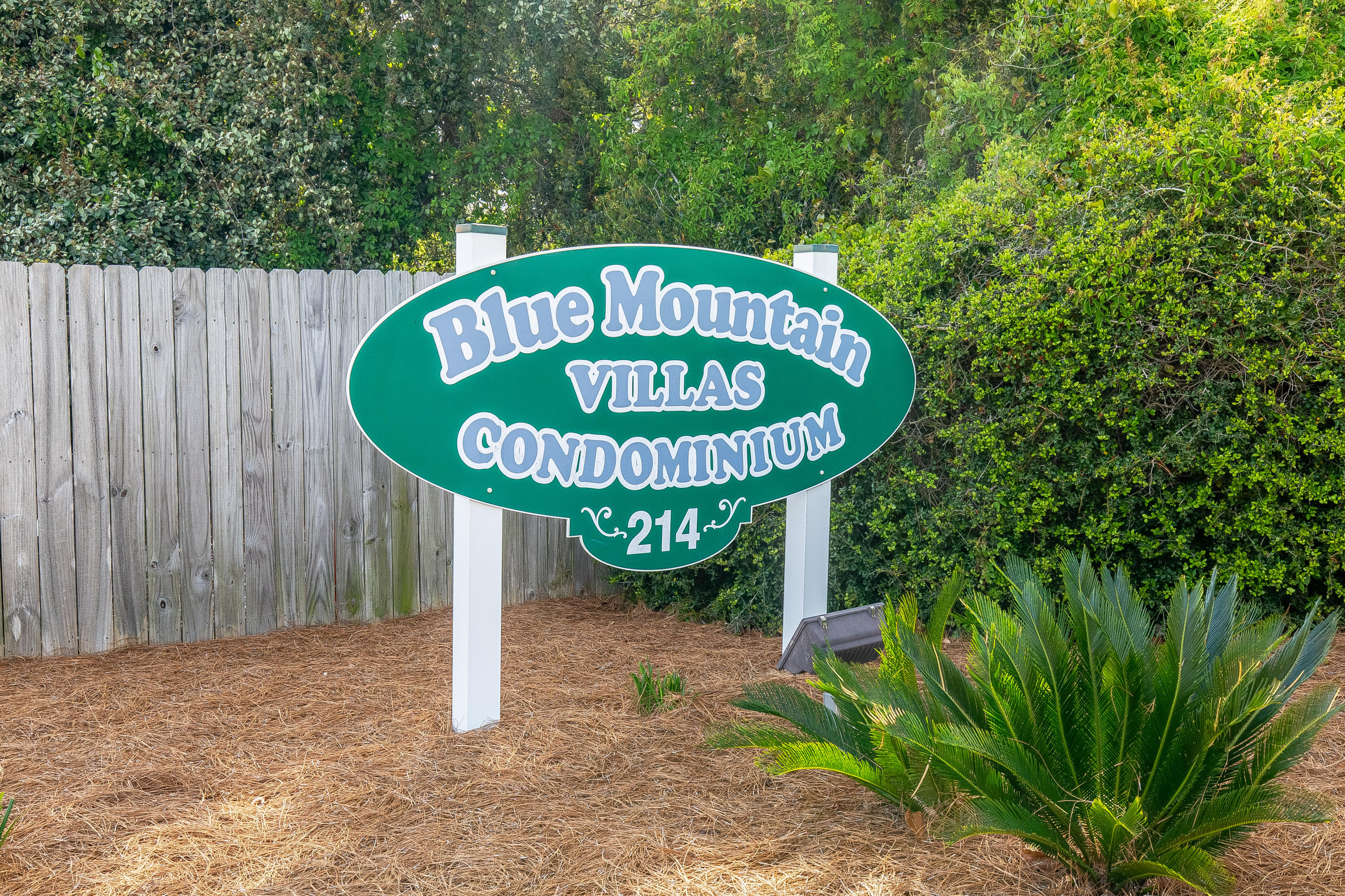 BLUE MOUNTAIN VILLAS - Residential