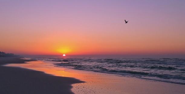 Eagle Bay Landing - Residential Lease