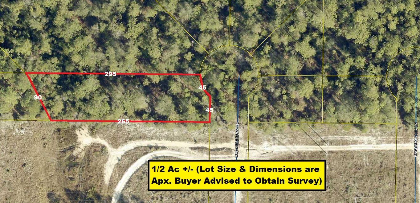 Vacant lot, located off Blue Ridge Blvd. in Mossy Head area of Defuniak Springs. Subdivision has been platted but roads not cut to this lot (see photos).